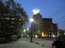 LED街路灯設置写真2